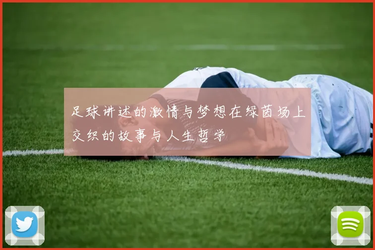 足球讲述的激情与梦想在绿茵场上交织的故事与人生哲学
