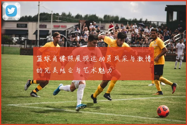 篮球肖像照展现运动员风采与激情的完美结合与艺术魅力