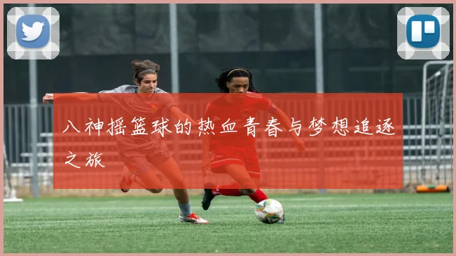 八神摇篮球的热血青春与梦想追逐之旅