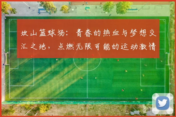 坎山篮球场：青春的热血与梦想交汇之地，点燃无限可能的运动激情